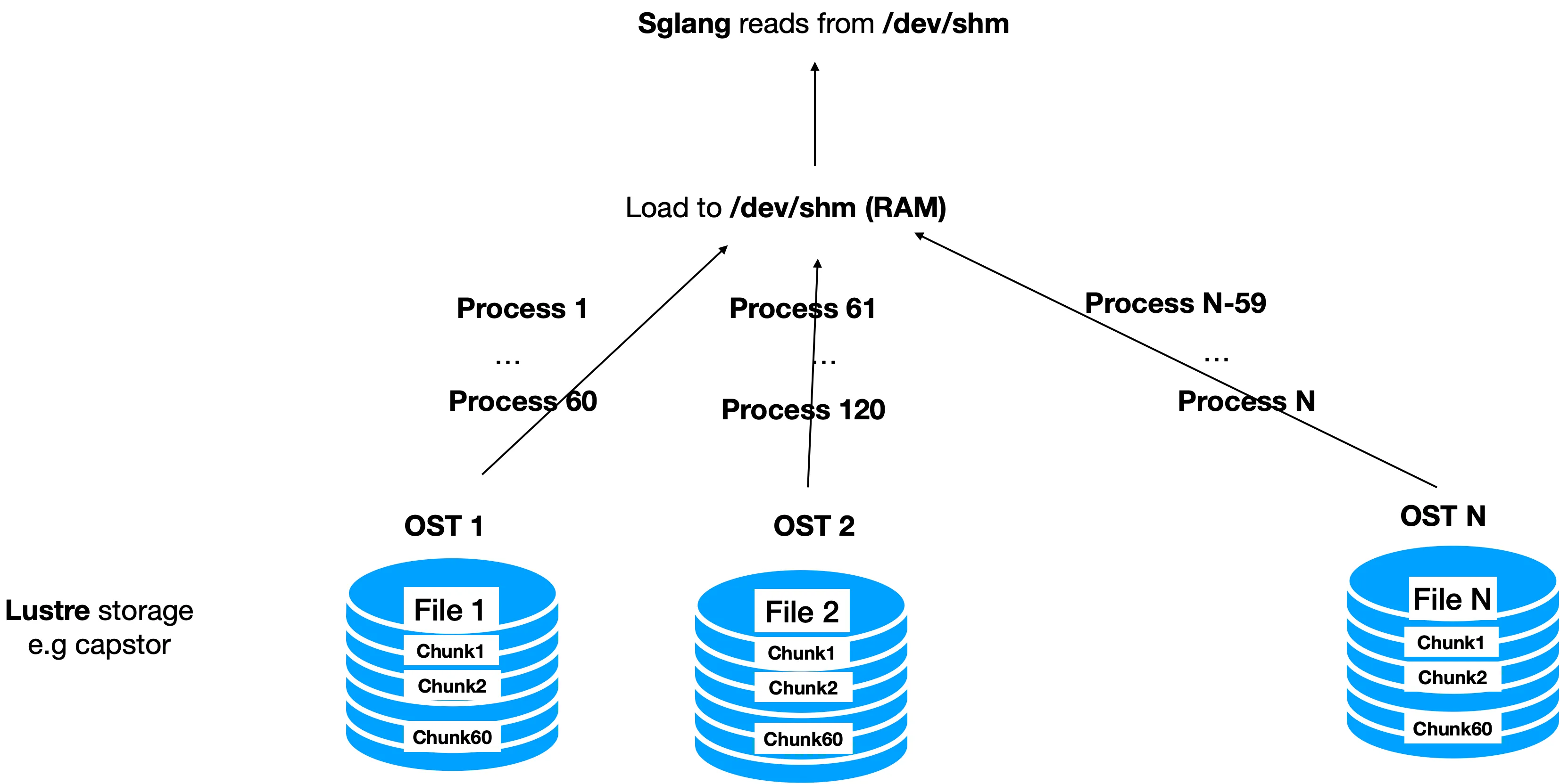 Parallel processes read file chunks from different OSTs on Lustre into /dev/shm, which SGLang then reads from
